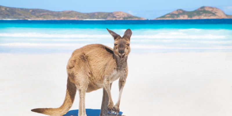 Lucky Bay